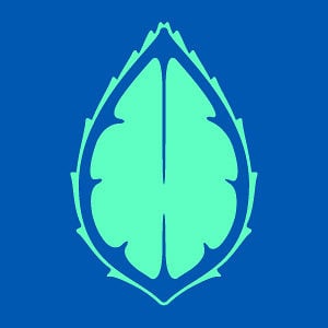 Profile picture for Dementa