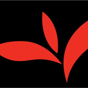 Profile picture for RedLeafFilms