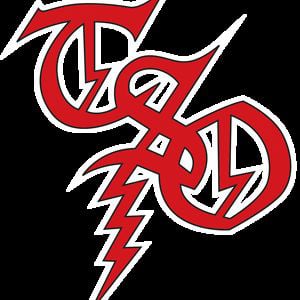 Profile picture for TSO