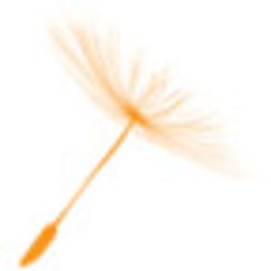 Profile picture for New Canaan Society Middle TN