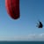 yannkite