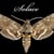 Solace Moth