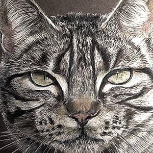 Profile picture for Fuck Supreme