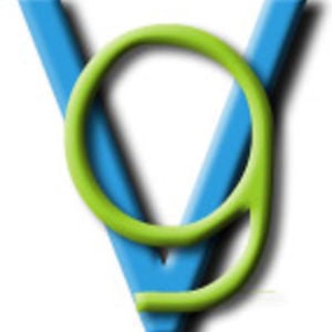 Profile picture for The Vision Group Ltd