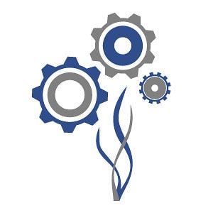 Profile picture for The Regeneration Roadmap