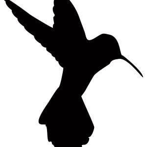 Profile picture for All Bodyboarders Clothing