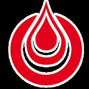 Profile picture for surfandrock.com