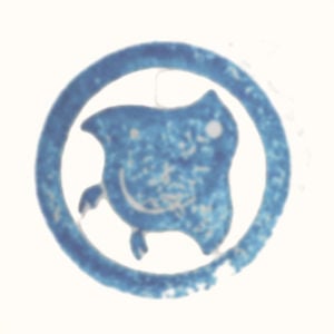 Profile picture for WaxEyes