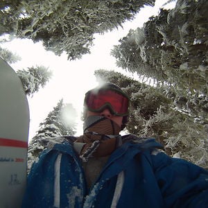 Profile picture for Dave