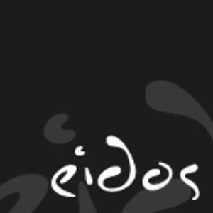 Profile picture for Eidos Institute