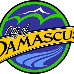 Profile picture for City of Damascus