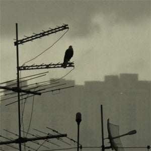 Profile picture for Cinema de Rua