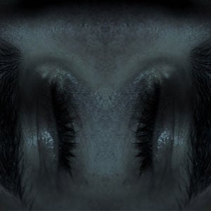 Profile picture for ranefritte