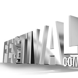 Profile picture for The Festivals Company