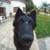 Rafa Fidalgo