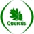 Quercus