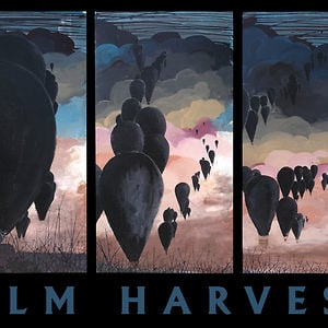Profile picture for Film Harvest