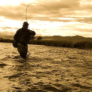 Profile picture for ALLAGASH FILMS
