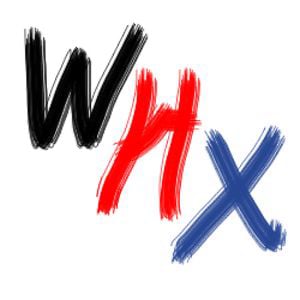 Profile picture for Wally Xie