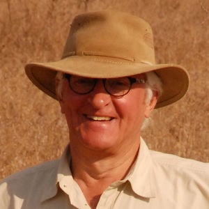 Profile picture for Pim den Hartog