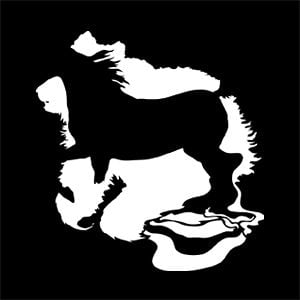 Profile picture for The Crystal Beach