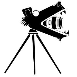 Profile picture for Bearcam Media