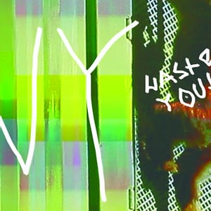 Profile picture for Wasted Youth