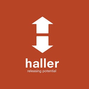 Profile picture for The Haller Foundation