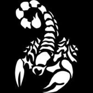 Profile picture for Suzaku666