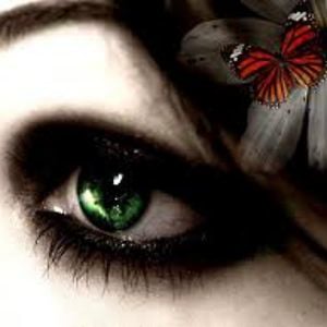 Profile picture for Thebelladigiorno