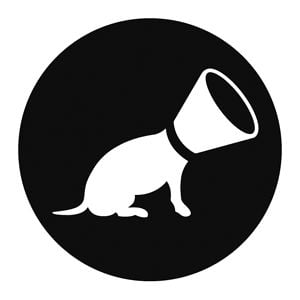 Profile picture for filmin