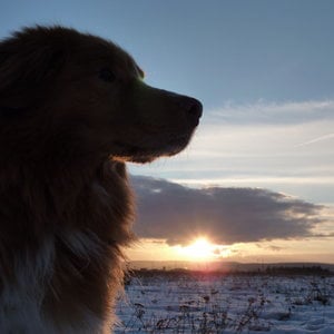 Profile picture for Davis Jork