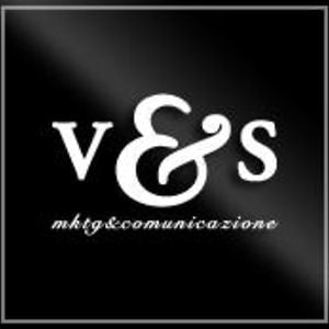 Profile picture for v&s