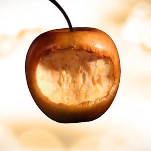 Profile picture for Viktor Stickel