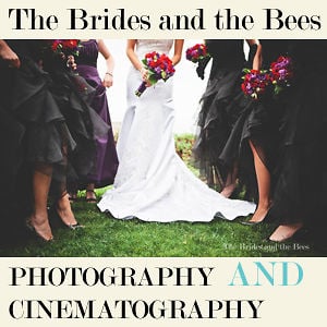 Profile picture for The Brides and the Bees