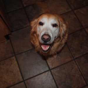 Profile picture for Callie O'Neill