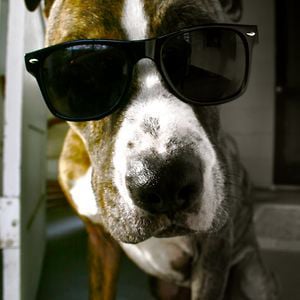 Profile picture for Bibi