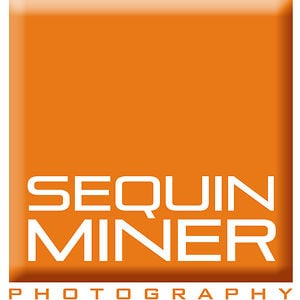 Profile picture for Sequin Miner Photography Co.