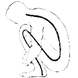 Profile picture for Shaw XU