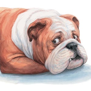 Profile picture for Sarah Davis