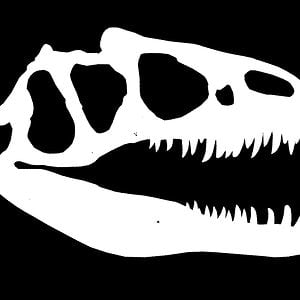 Profile picture for DeadDinosaur