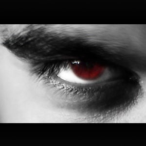 Profile picture for Noran Al-Shami