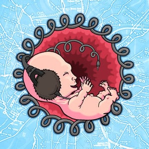 Profile picture for echoBOOM