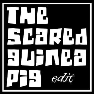 Profile picture for The Scared Guinea Pig