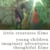 Little Creatures Films