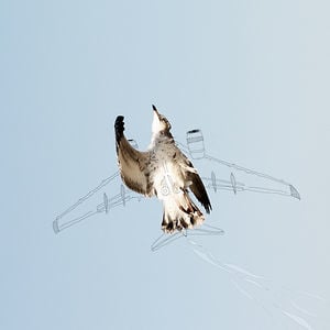 Profile picture for Constantine Taube