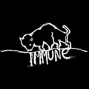 Profile picture for Immune Recordings