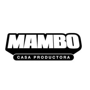 Profile picture for mambo casa productora