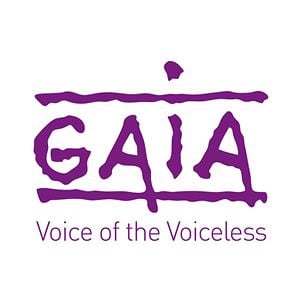 Profile picture for GAIA TV
