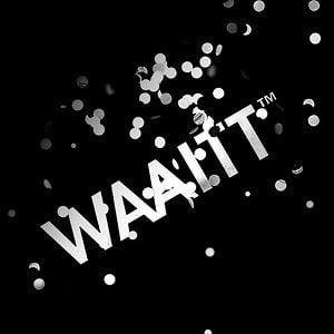 Profile picture for WAAITT™